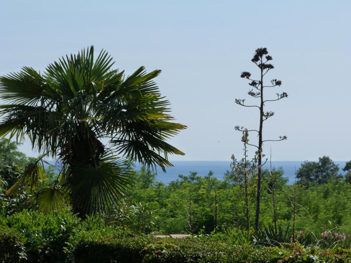 Sea Explorer House Novigrad Istria Exteriér fotografie